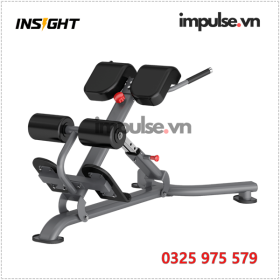 Ghe-tap-lung-insight-DR010-insightfits.vn-impulse.vn-0325975579-gym-fitness-insight